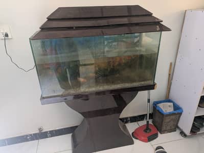 fishes for sale with aquarium