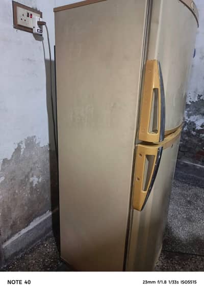Pel Refrigerator with Original Gass