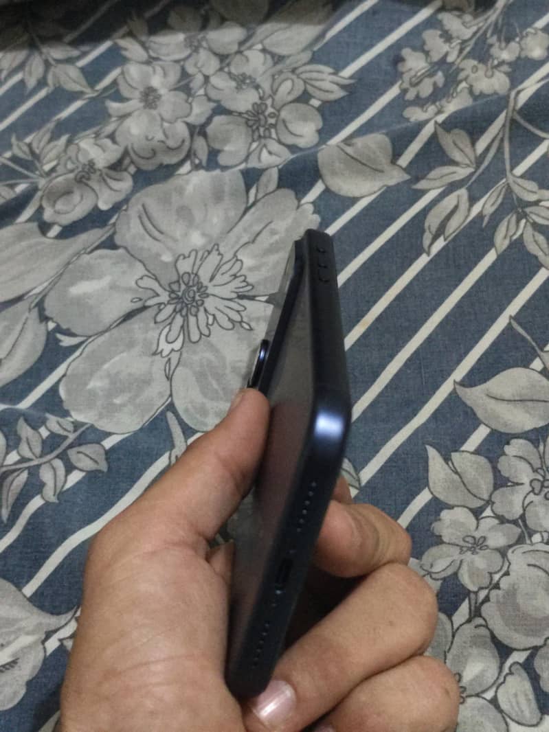 17 Pro max 5