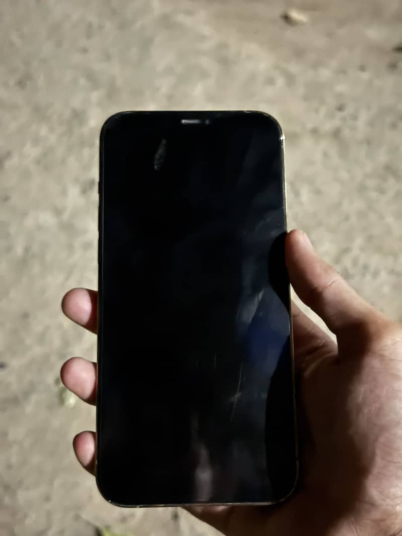 Apple iPhone 12 Pro Max 0