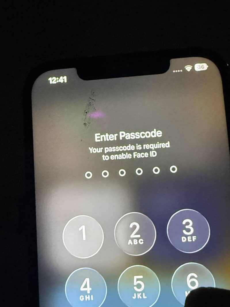 Apple iPhone 12 Pro Max 1