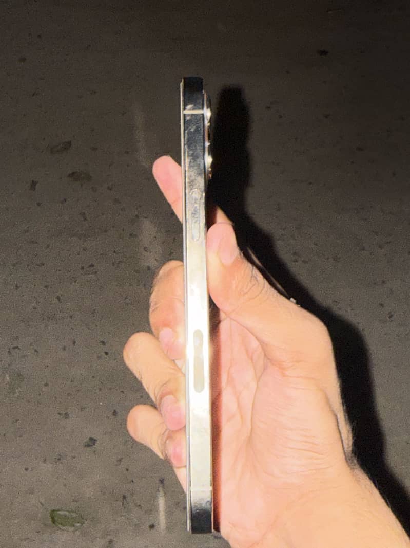 Apple iPhone 12 Pro Max 2