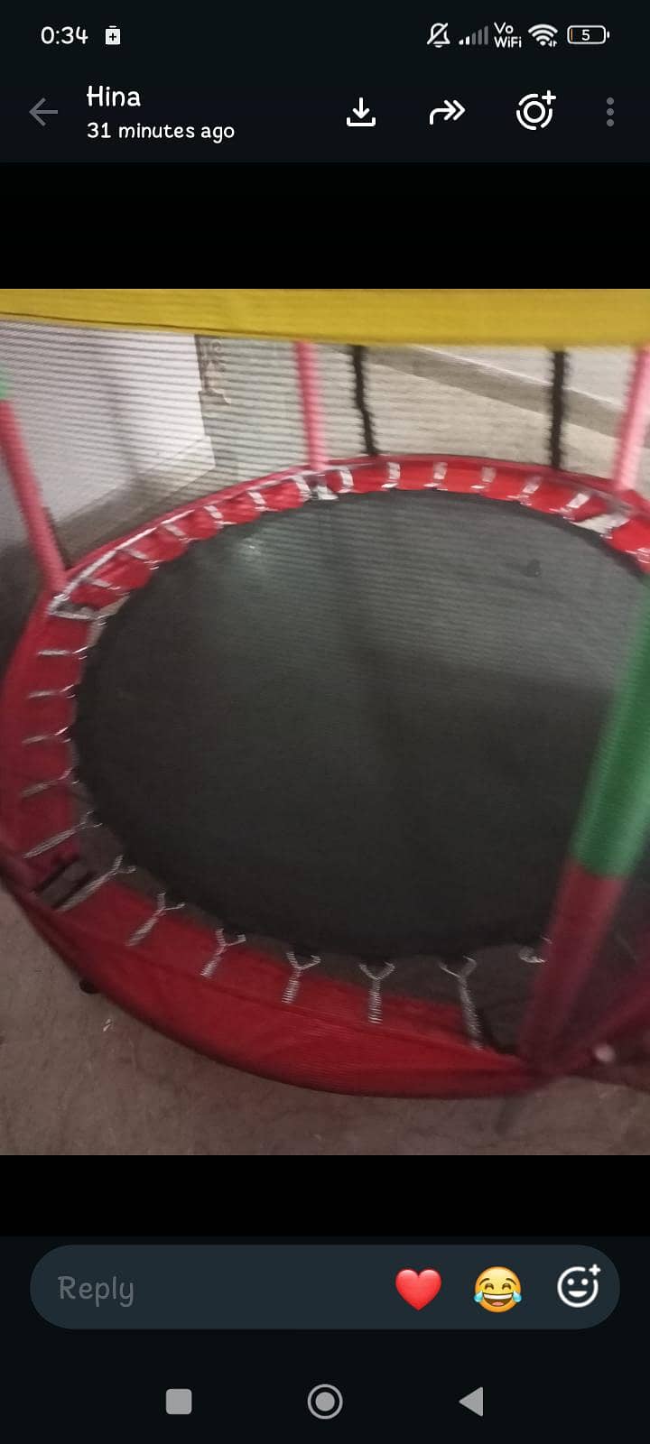best Trampoline 1