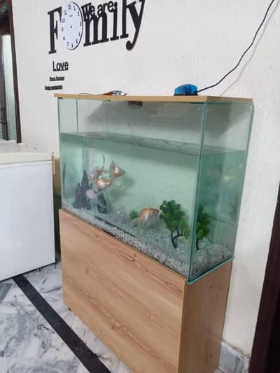3ft Fish Aquarium
