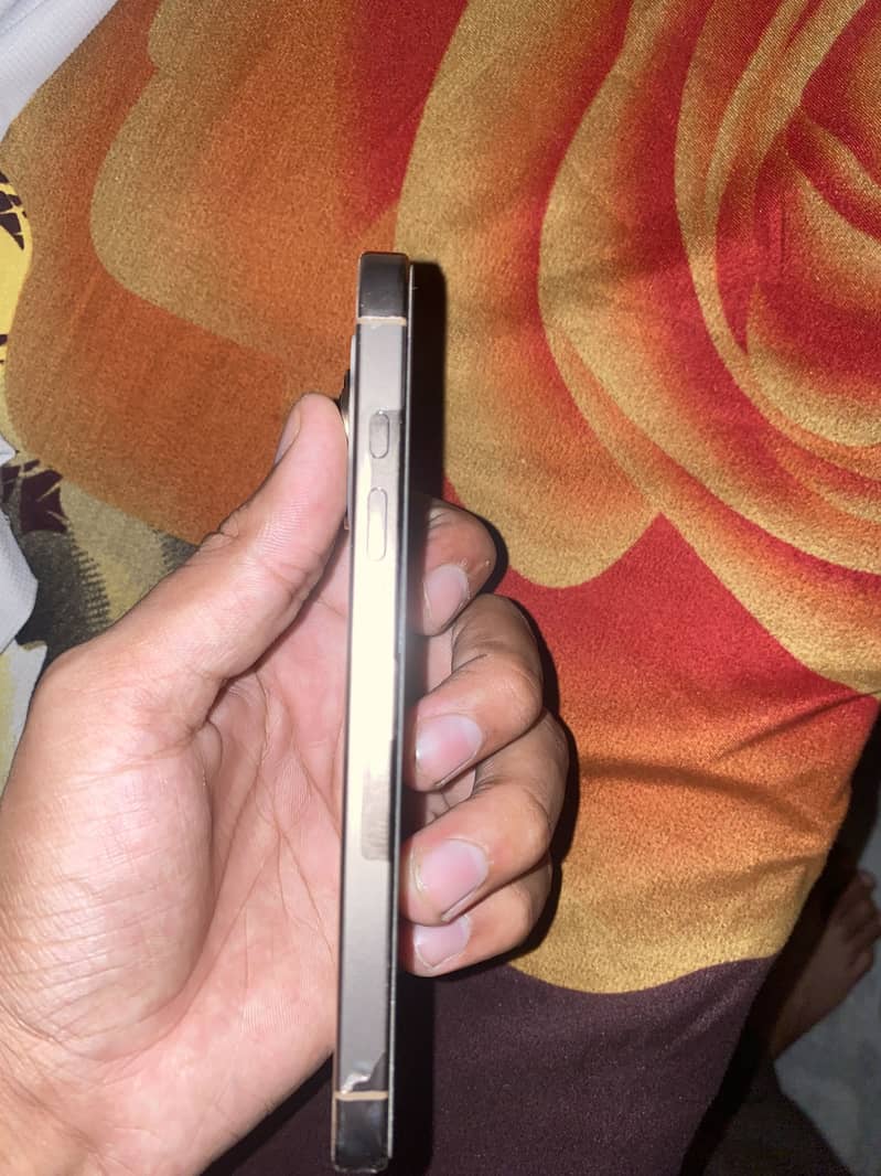 Apple iPhone 16 Pro 2