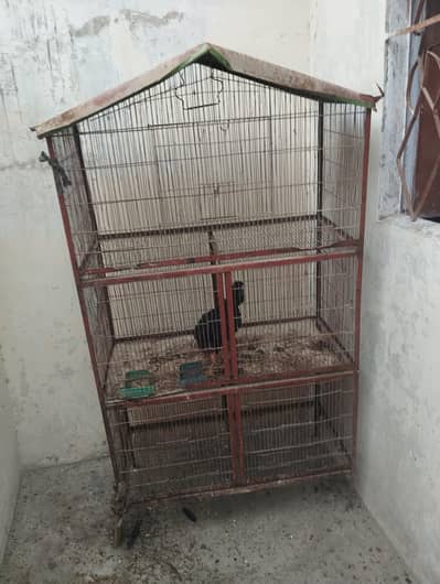 cage for sale