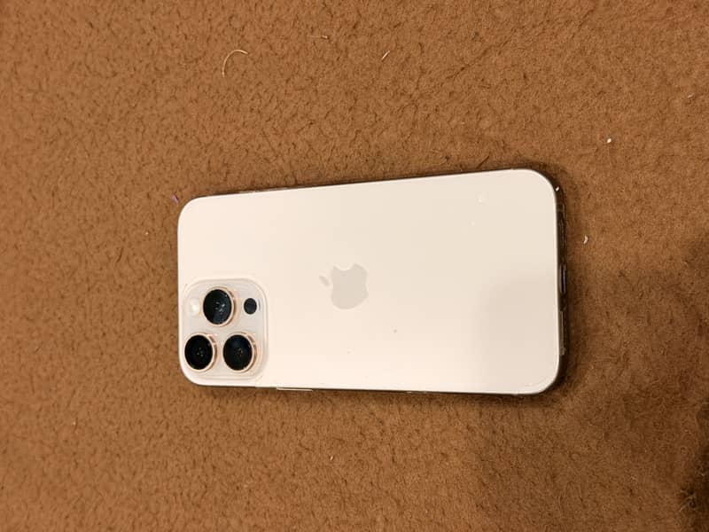 Apple iPhone 16 Pro Max 13