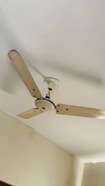 Ceiling Fans