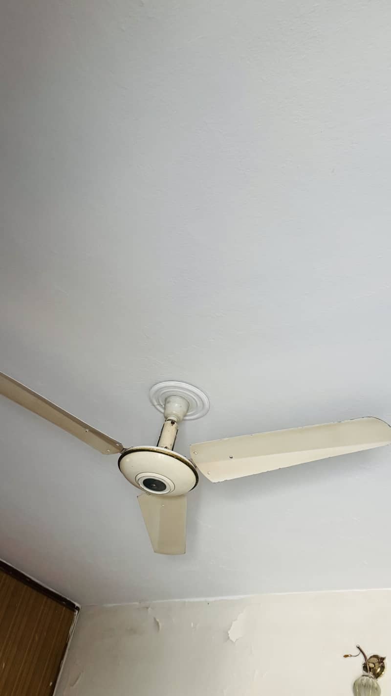 Ceiling Fans 1