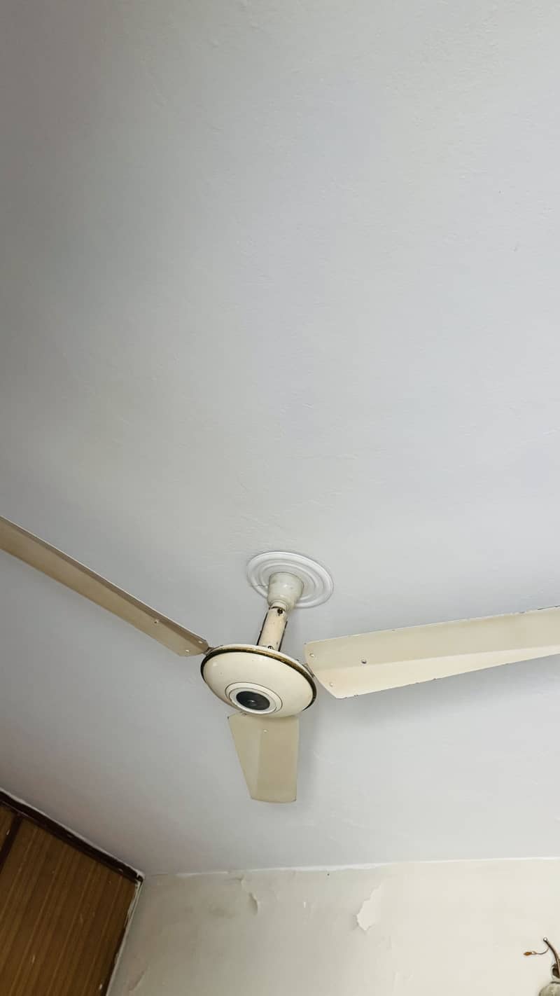 Ceiling Fans 2