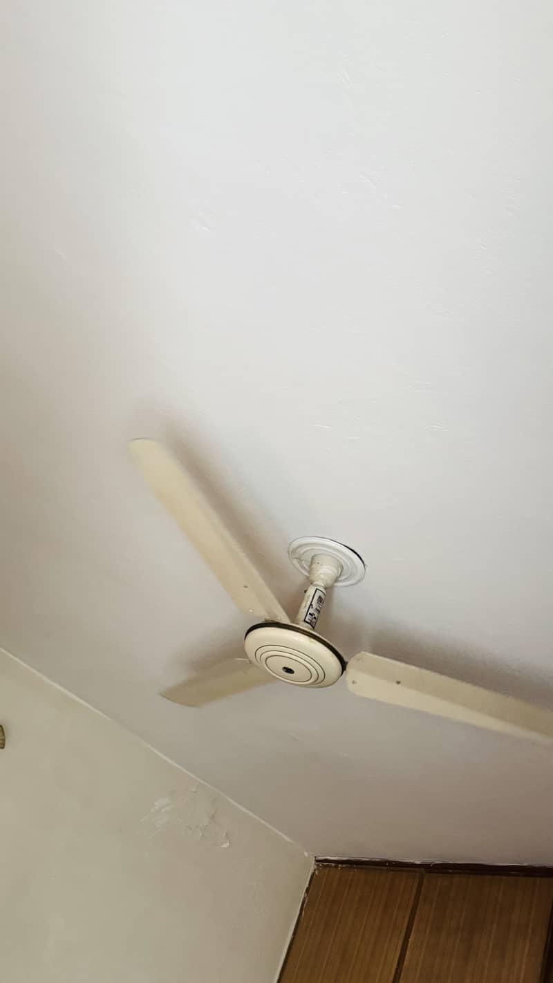 Ceiling Fans 3