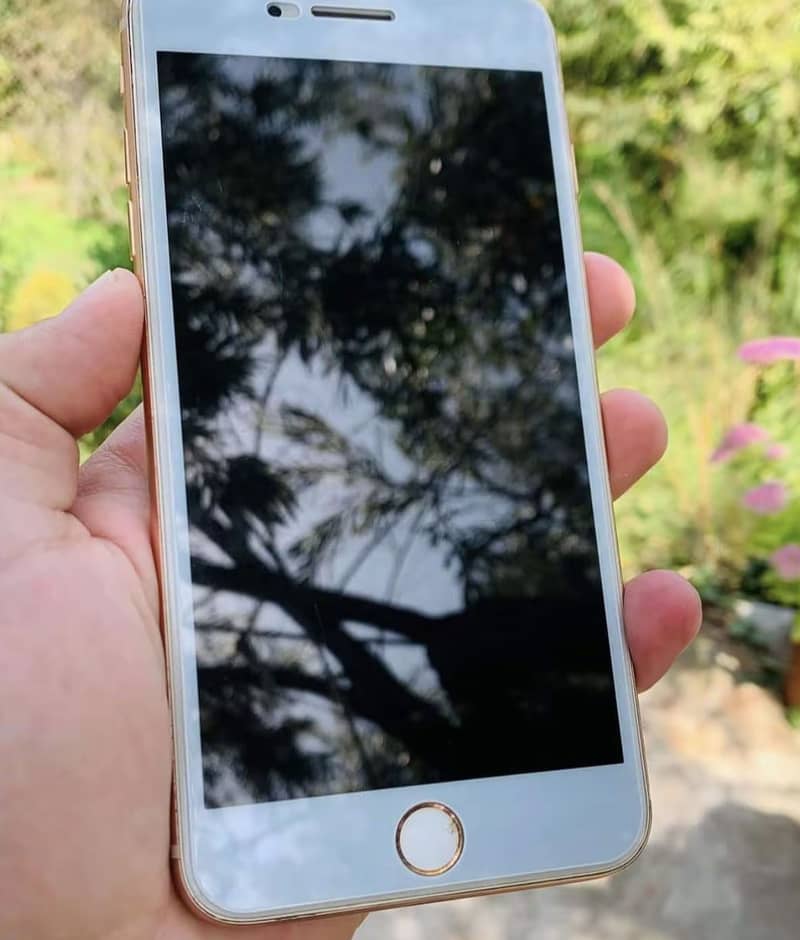 Apple iPhone 8 Plus 2