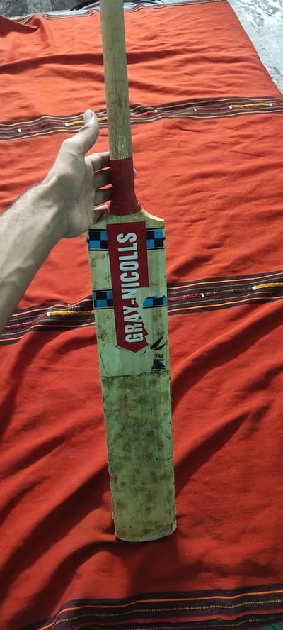 hardball cricket bat