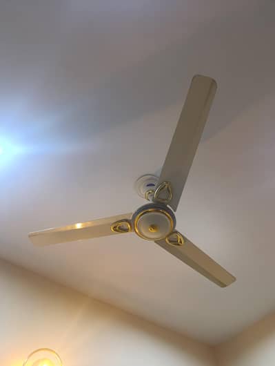Pak Fans - Fancy Model for Sale