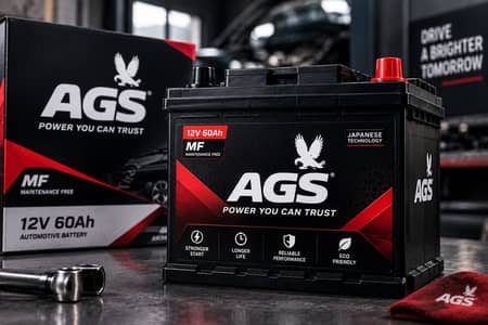  AGS Home Batteries – All Types Available