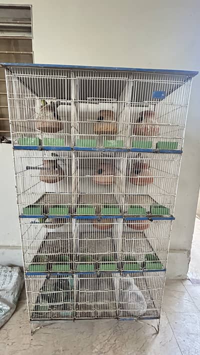 Birds Cage/Pinjra