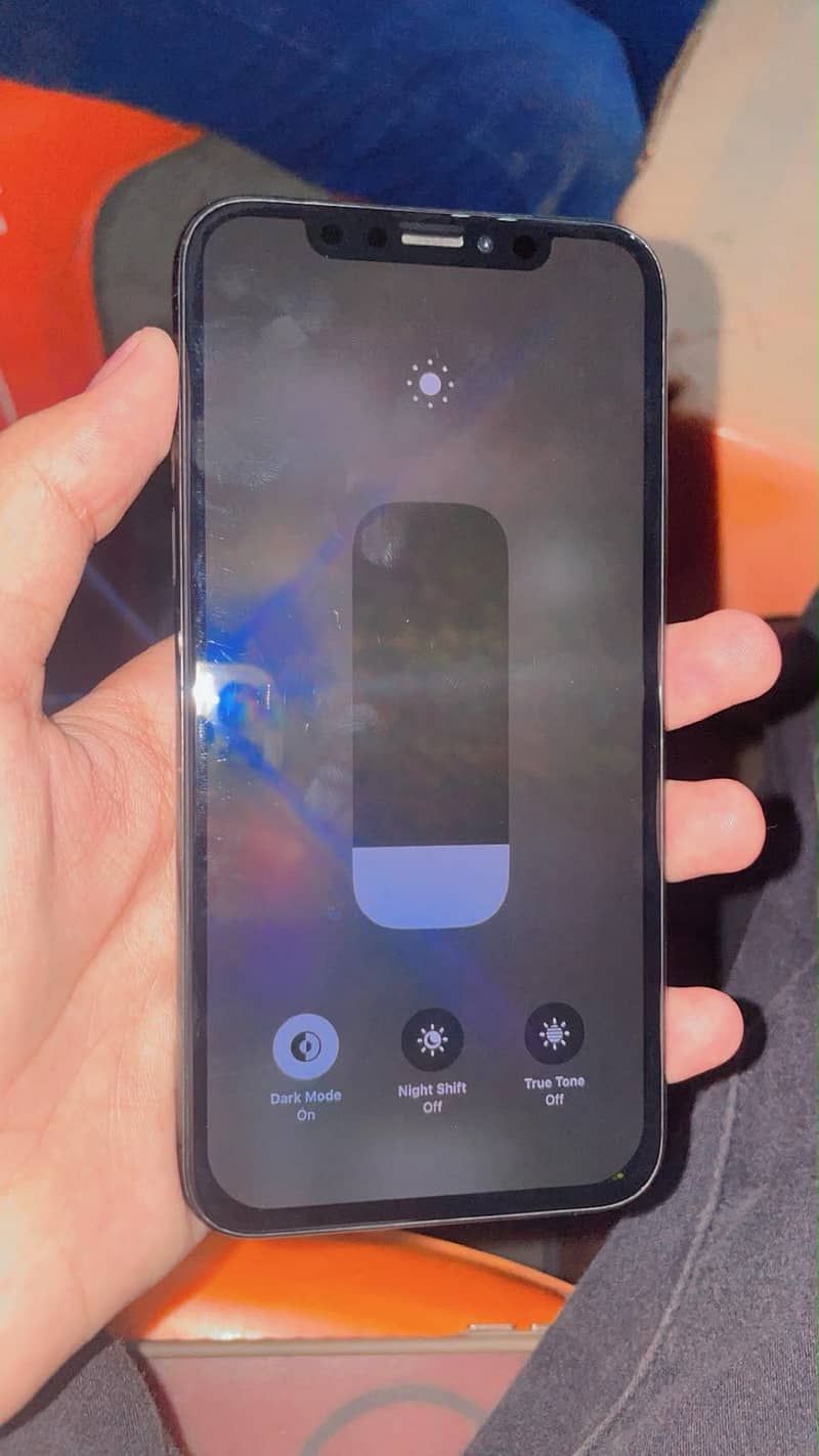 Apple iPhone X 5