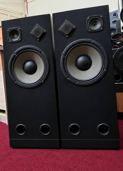10 Inch Pioneer Speakers – Pair