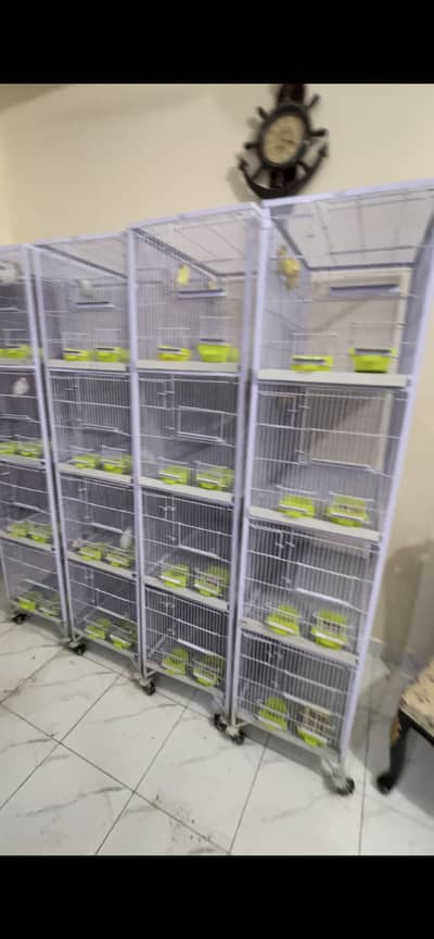 4-Portion Bird Cages for Sale – Excellent Condition