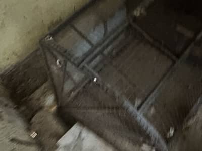 Cage | Parrot cage | Iron cage | Hens cage Solid cage