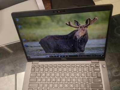 urgent laptop