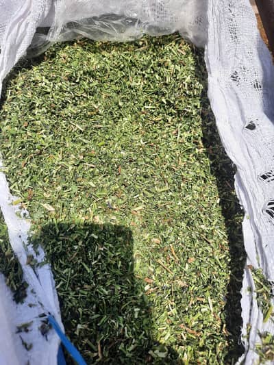 Alfalfa Hay (Supreme) اَلفَلفا | Peanut straw