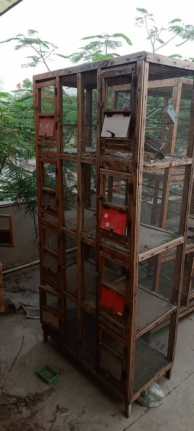 cages Master cage