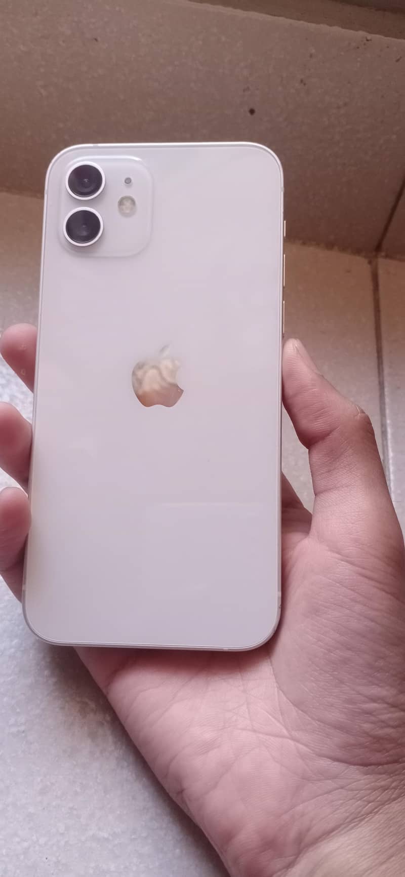 Apple iPhone 12 1