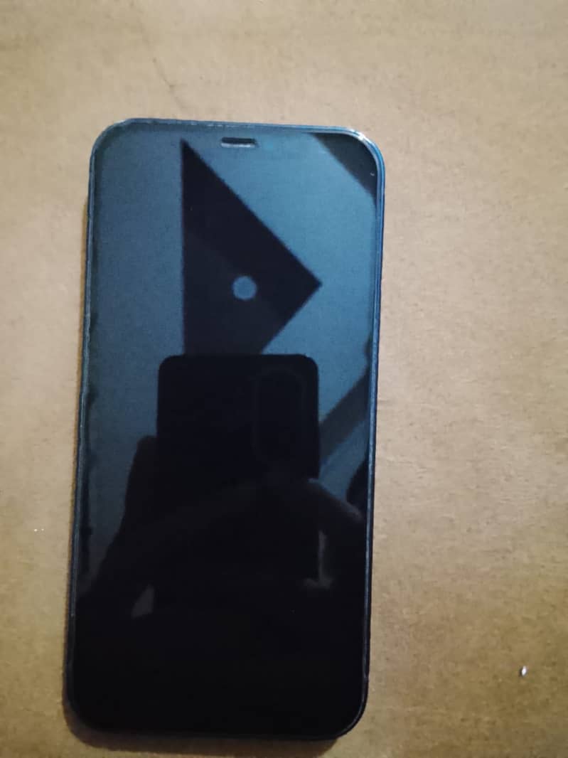 Apple iPhone 12 1