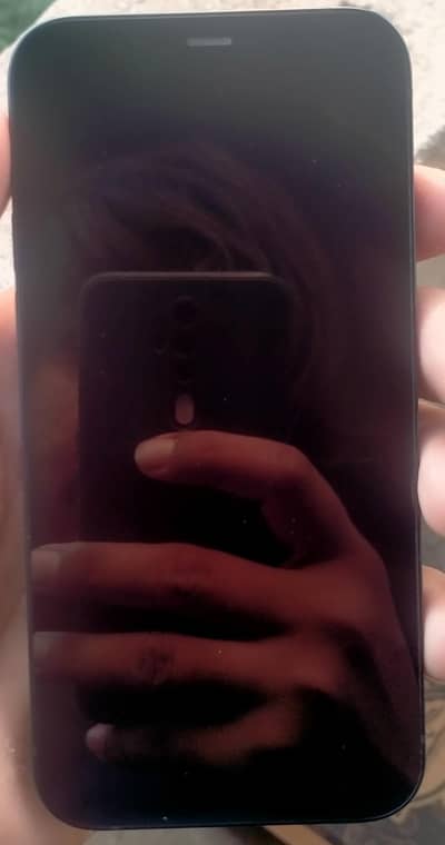 Apple iPhone 12  4,64