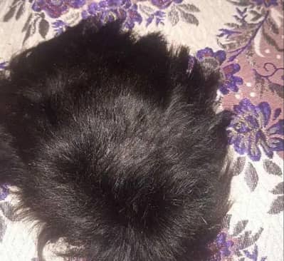 Hair Wig