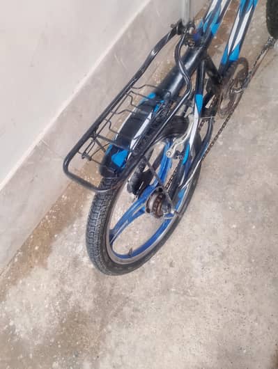 Chinese cycle