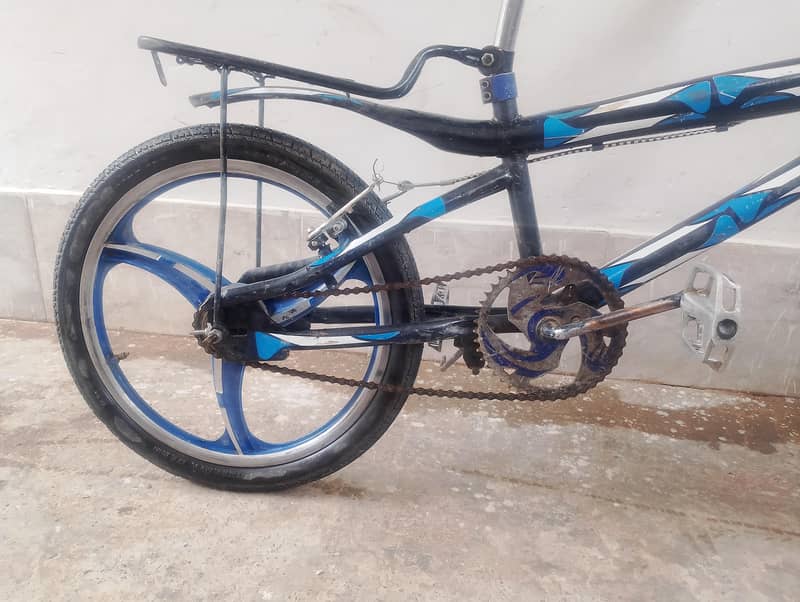 Chinese cycle 1