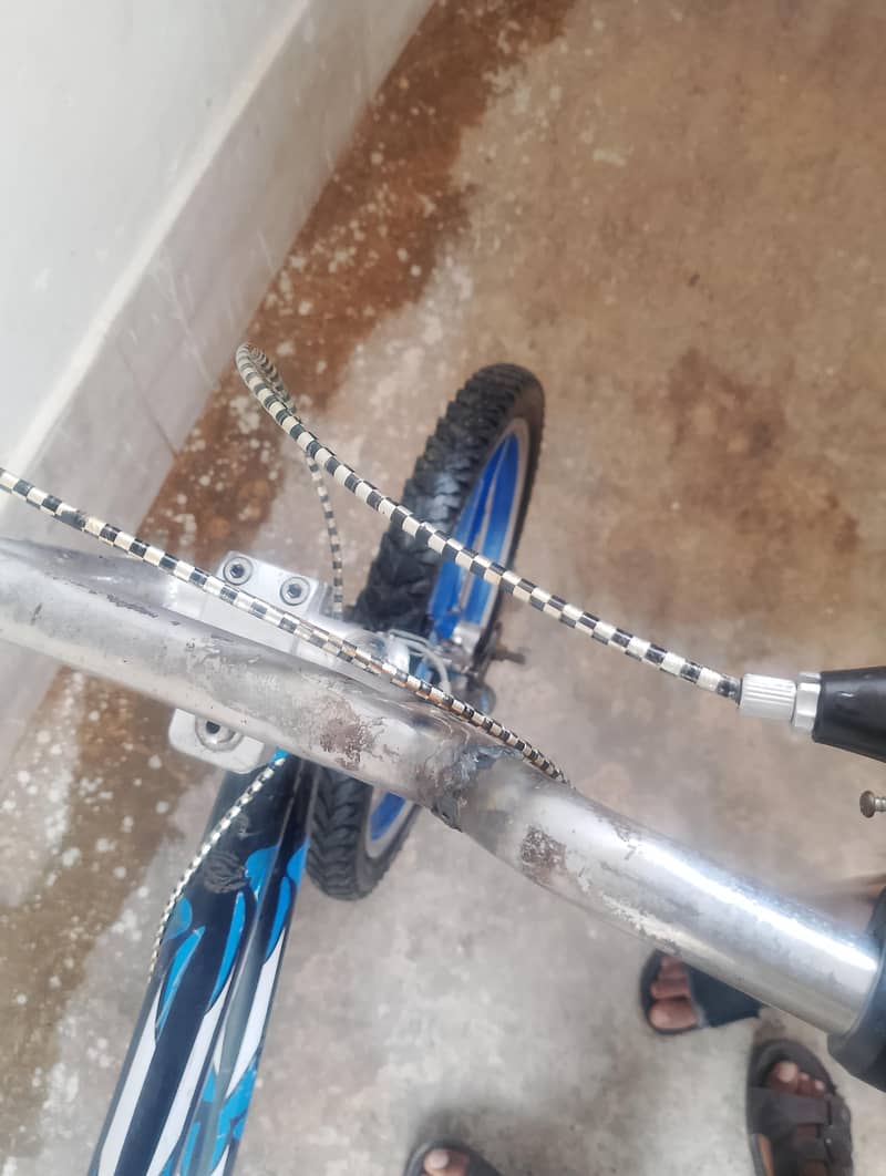 Chinese cycle 2