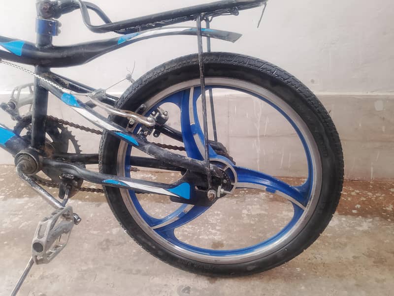 Chinese cycle 4