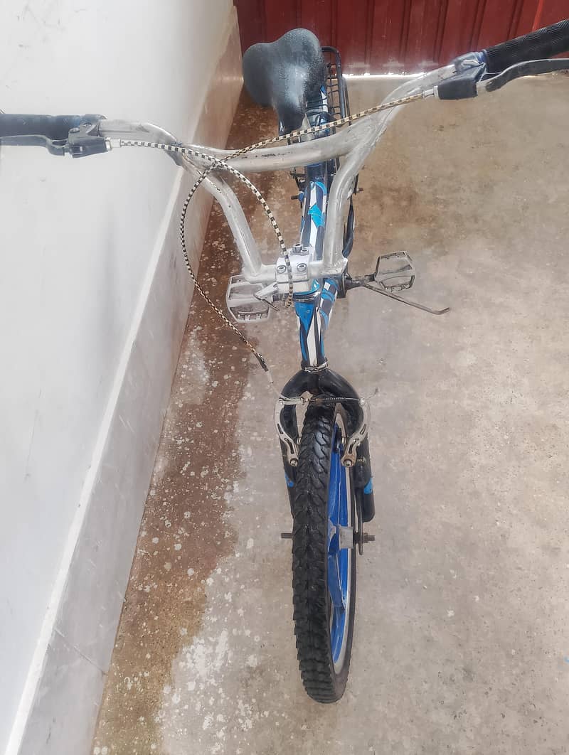 Chinese cycle 6