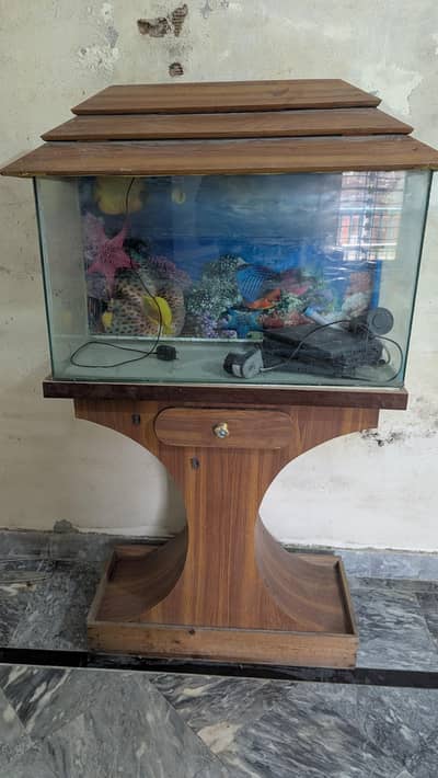 Fish Aquarium