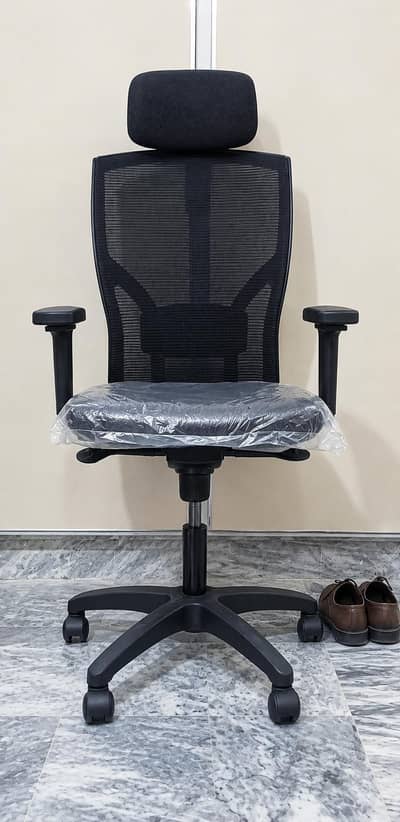 Ergonomic Chair