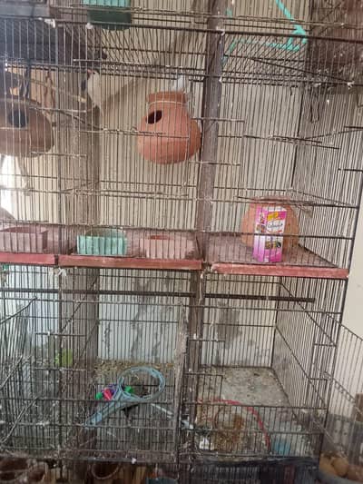 big size Bird cage in good condition in reasonable price