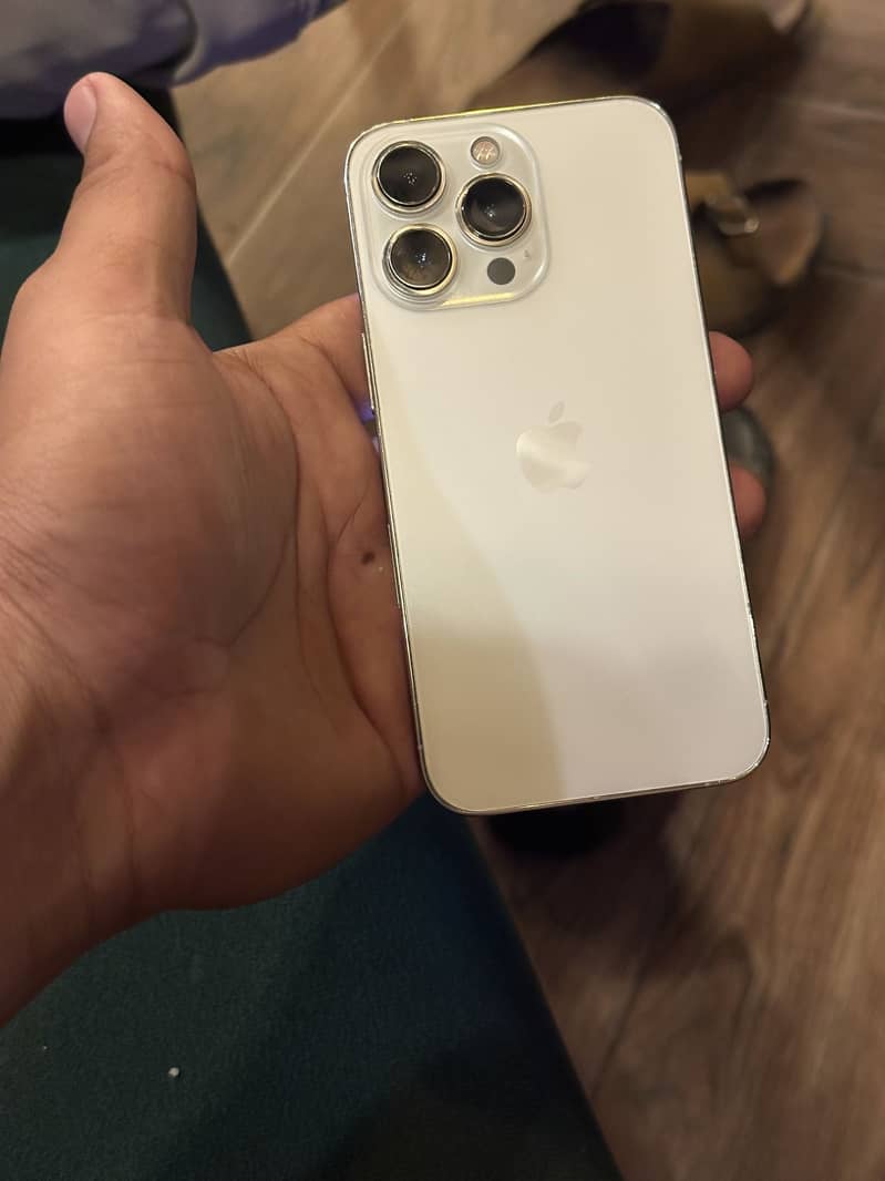 Apple iPhone 13 Pro 1
