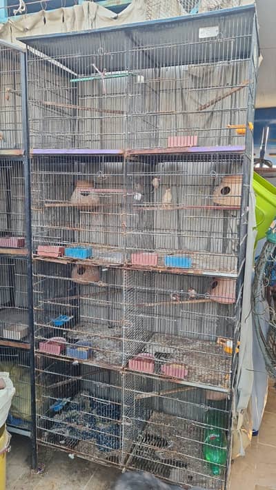 Cage for sale