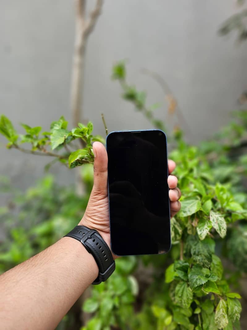 Apple iPhone 13 0