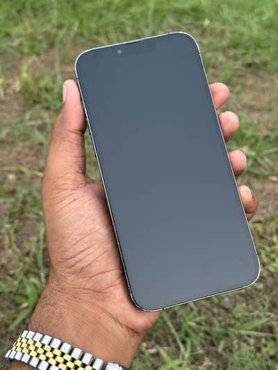 Apple iPhone 13 Pro Max 1 TB 1024gb.