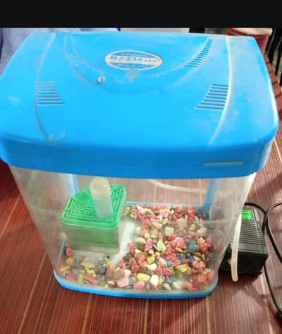 fish tank