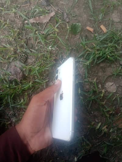 Apple iPhone 11