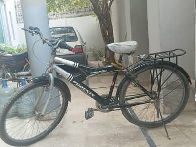 phoneix bicycle for sale