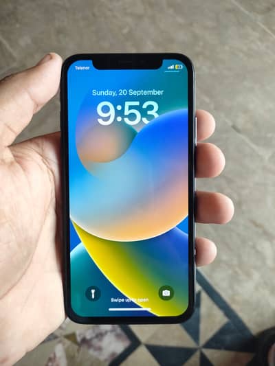 Apple iPhone X