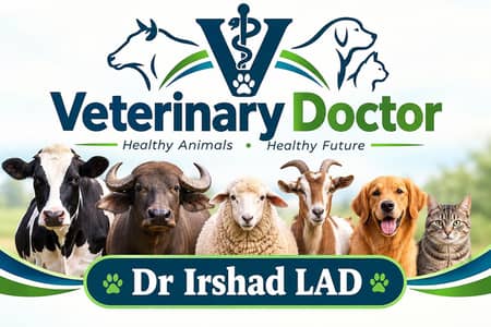 veterinary doctor we deal in all type livestock animals