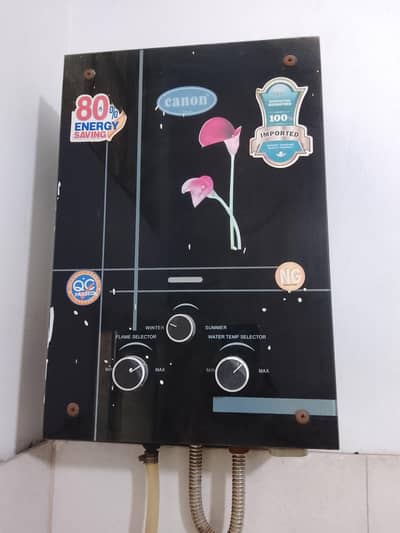 Instant electric and gas geyser