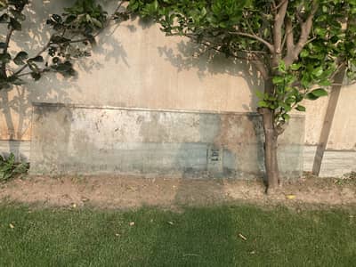Glass 8 mm thick